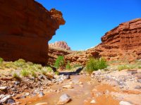 P1000728.JPG P1000728.JPG