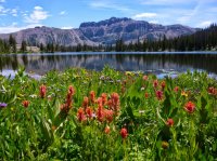 P1000940.JPG P1000940.JPG