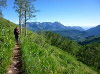 P1010347.JPG P1010347.JPG