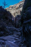 Zion in the Mist-27.jpg