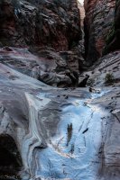 Zion in the Mist-31.jpg