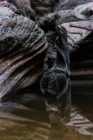 Zion in the Mist-32.jpg