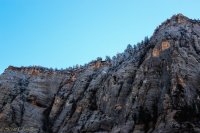 Zion in the Mist-34.jpg