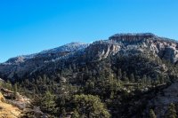 Zion in the Mist-37.jpg