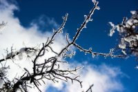 Zion in the Mist-45.jpg