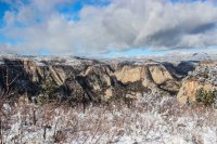 Zion in the Mist-55.jpg