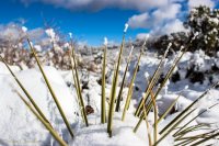 Zion in the Mist-56.jpg