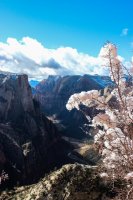 Zion in the Mist-57.jpg