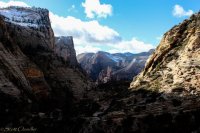 Zion in the Mist-58.jpg