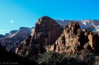 Zion in the Mist-61.jpg