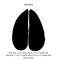 Screen Shot 2014-12-14 at 10.17.21 PM.png