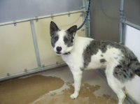 upload_2014-12-18_20-53-40.png upload_2014-12-18_20-53-40.png