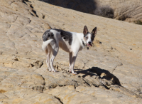 upload_2014-12-18_20-55-33.png upload_2014-12-18_20-55-33.png