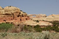 salt-creek-canyonlands-43.jpg