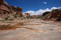 salt-creek-canyonlands-116.jpg