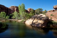 salt-creek-canyonlands-130.jpg