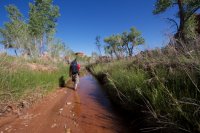 salt-creek-canyonlands-145.jpg