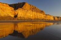 Torrey Pines Cliff Reflection.jpg