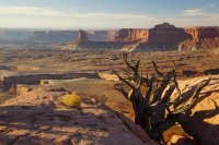 Murphy Pt and tree.jpg Murphy Pt and tree.jpg