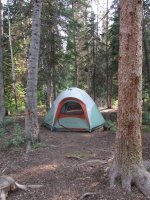 IMG_0647.JPG IMG_0647.JPG