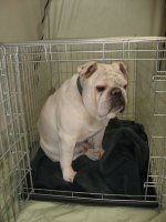 IMG_9535.JPG IMG_9535.JPG