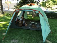 IMG_0800.jpg IMG_0800.jpg