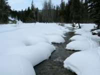 kamas-skinning-3.jpg kamas-skinning-3.jpg