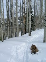 kamas-skinning-6.jpg kamas-skinning-6.jpg