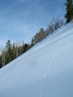 kamas-skinning-12.jpg kamas-skinning-12.jpg