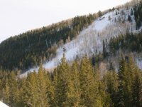 kamas-skinning-16.jpg kamas-skinning-16.jpg