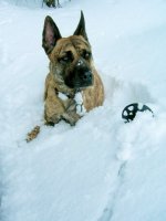 kamas-skinning-18.jpg kamas-skinning-18.jpg