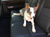 IMG_1380.jpg IMG_1380.jpg