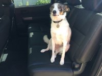 IMG_1383.jpg IMG_1383.jpg