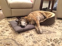 IMG_1299.jpg IMG_1299.jpg