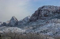 Snowy Zion-1.jpg