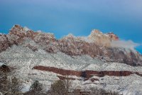 Snowy Zion-2.jpg