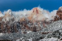 Snowy Zion-4.jpg