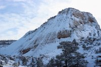 Snowy Zion-10.jpg