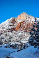 Snowy Zion-12.jpg