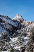 Snowy Zion-13.jpg Snowy Zion-13.jpg