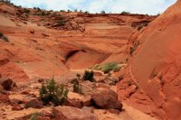 IMG_2500.JPG IMG_2500.JPG