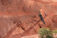 IMG_2523_crop.jpg IMG_2523_crop.jpg