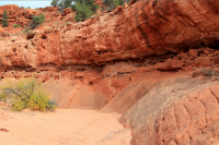 2432_screenshot.PNG 2432_screenshot.PNG