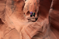 2491_screenshot.PNG 2491_screenshot.PNG