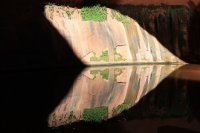 IMG_2989_Golden Cathedral.JPG