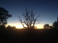 grandcanyon 1178.JPG