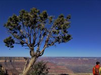 grandcanyon 1184 (2).jpg