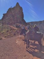 grandcanyon 1511.JPG