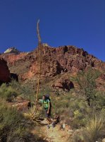 grandcanyon 1820.JPG