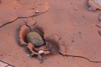 IMG_3162_Dry Fork.JPG